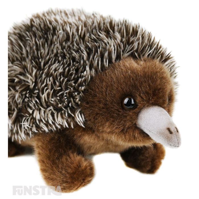 Lil Friends: Echidna Plush Soft Toy Stuffed Animal - Funstra Australia