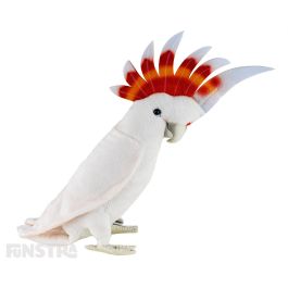 cockatoo plush toy